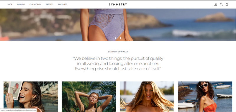 Scale Symmetry Theme